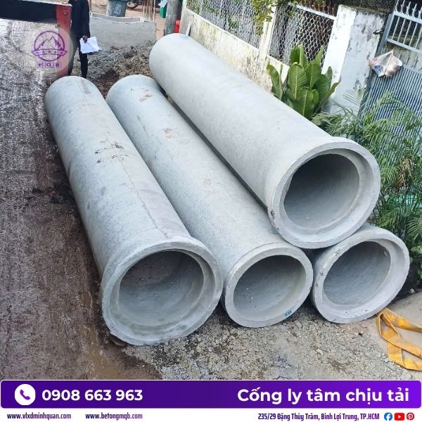 bao-gia-cong-ly-tam-tai-can-gio.jpg