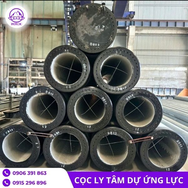 coc-ly-tam-D800-chiu-tai.jpg