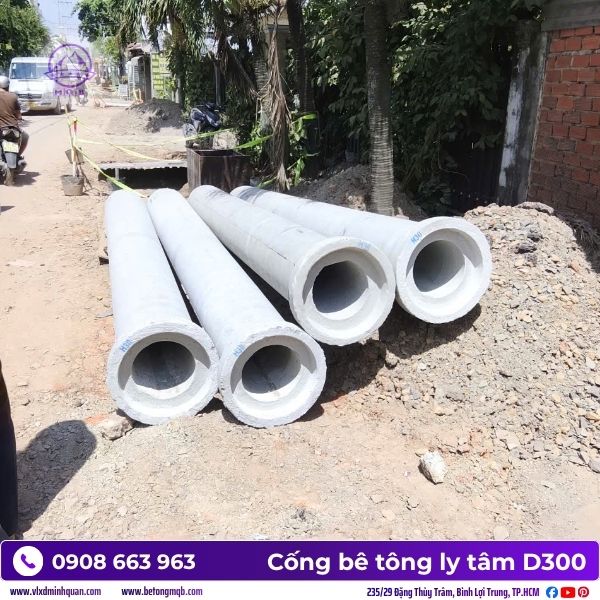 cong-ly-tam-tai-can-gio-gia-re.jpg