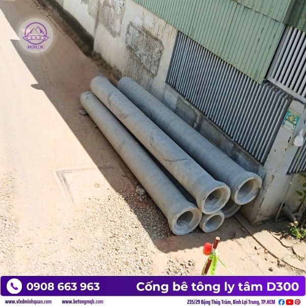 cong-ly-tam-tai-can-gio-giao-nhanh.jpg