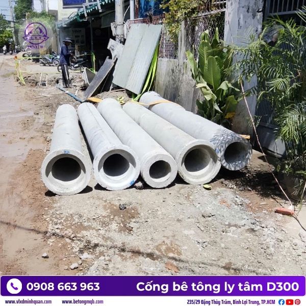 cong-ly-tam-tai-can-gio-uu-dai.jpg