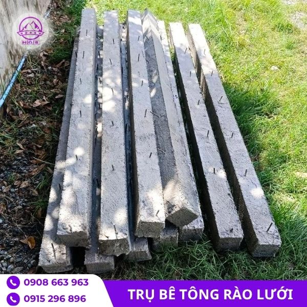 cot-be-tong-gan-luoi-thep-duc-san.jpg
