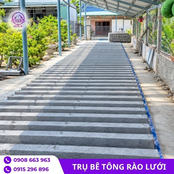 cot-be-tong-gan-luoi-thep-gia-re.jpg