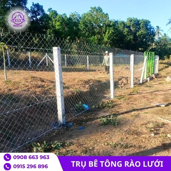 cot-be-tong-gan-luoi-thep-mqb.jpg