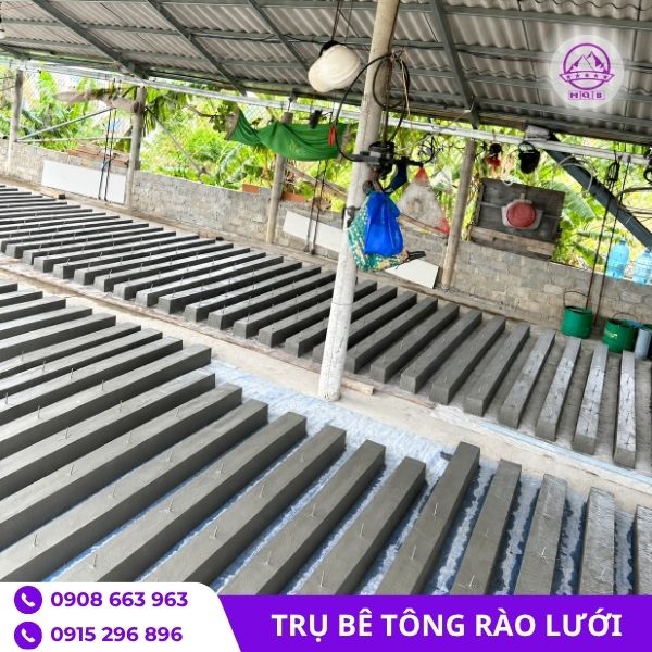 cot-be-tong-gan-luoi-thep-tai-mien-nam.j