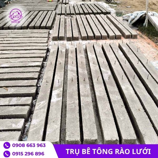 cot-be-tong-gan-luoi-thep.jpg