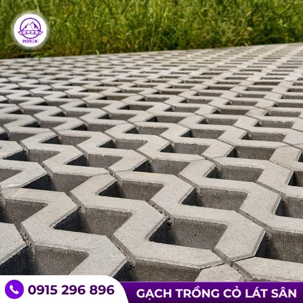 gach-be-tong-co-lo-trong-co.jpg