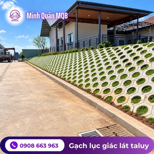 gach-be-tong-luc-giac-lat-taluy.jpg