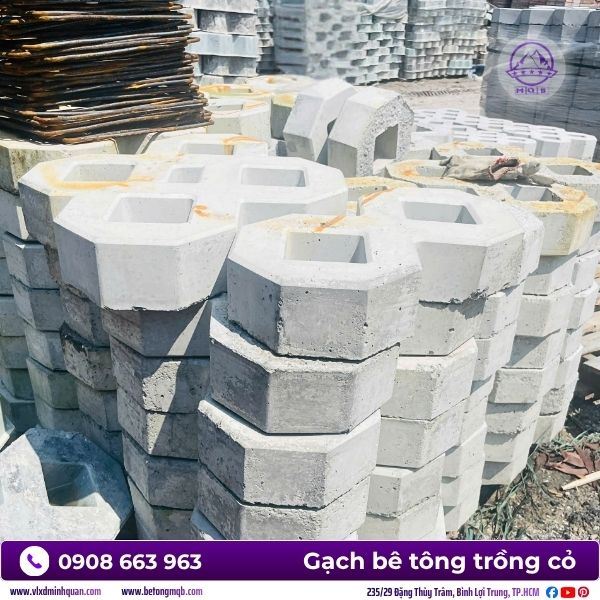 gach-so-8-trong-co-minh-quan-mqb.jpg