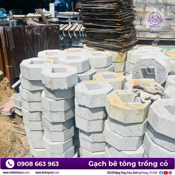 gach-so-8-trong-co-tai-mien-nam.jpg