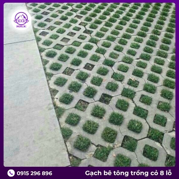 gach-trong-co-8-lo-tron-cao-cap.jpg