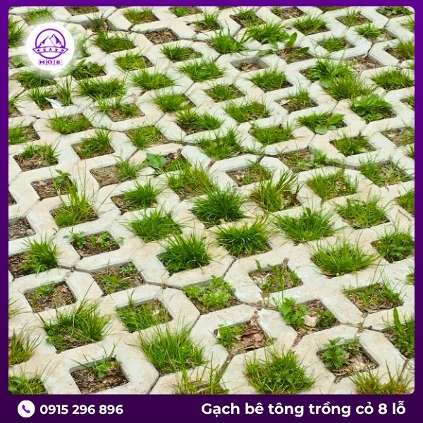 gach-trong-co-8-lo-tron-chat-luong.jpg