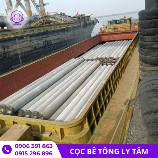 gia-coc-ly-tam-tai-tphcm-duc-san.jpg