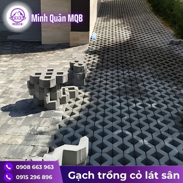 gia-gach-trong-co-8-lo.jpg