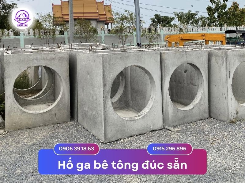 ho-ga-be-tong-duc-san-tai-mien-nam-cao-c