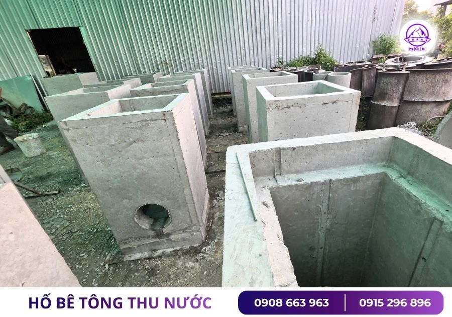 ho-ga-thu-nuoc-minh-quan-mqb.jpg