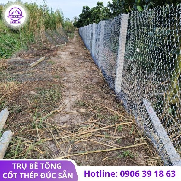 mua-tru-be-tong-tai-tay-ninh-sau-sap-nha