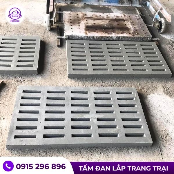tam-dan-be-tong-lot-san-co-lo-thoat-nuoc