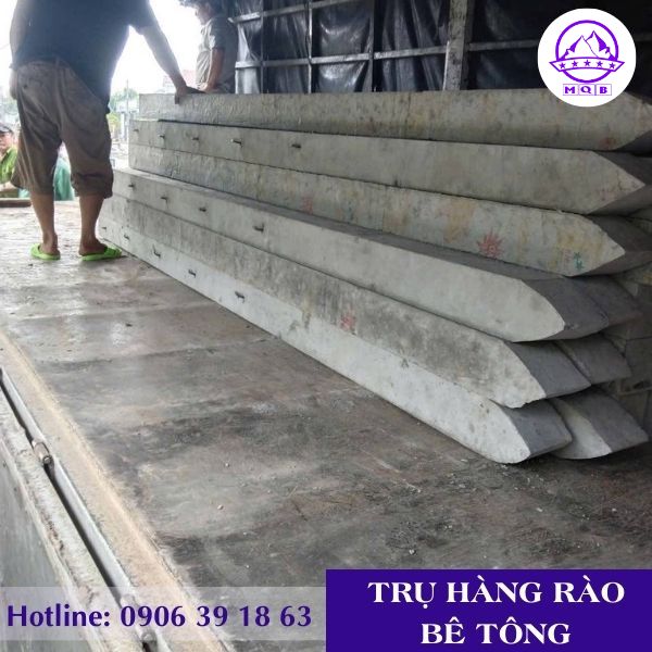 tru-be-tong%20(2).jpg