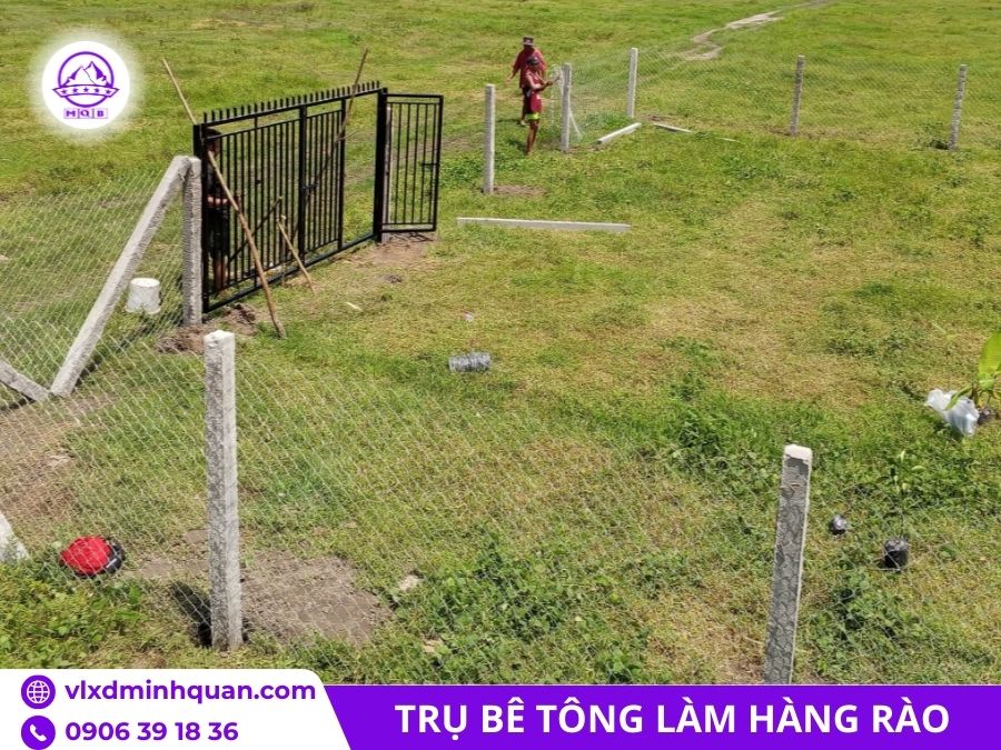 tru-be-tong-100x100x2500-lam-hang-rao.jp