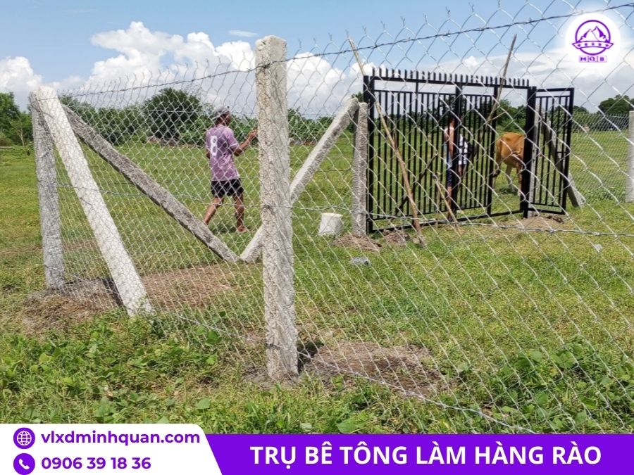 tru-be-tong-100x100x2500-tai-mien-nam.jp