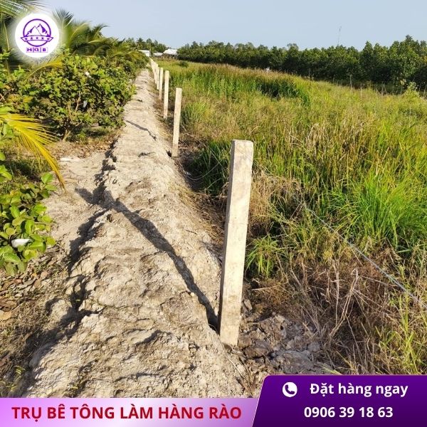 tru-be-tong-120x120x3500mm-tai-mien-nam.