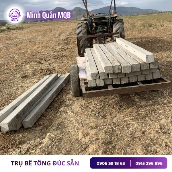 tru-be-tong-cao-2m-rao-luoi.jpg