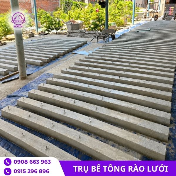 tru-be-tong-rao-luoi.jpg