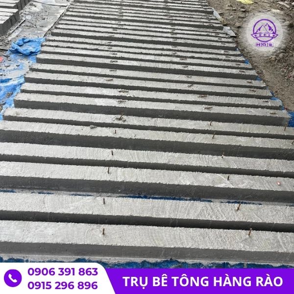 tru-be-tong-theo-yeu-cau-tai-mien-nam.jp