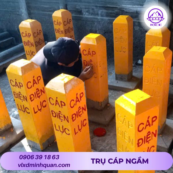 tru-cap-dien-luc%20(4).jpg